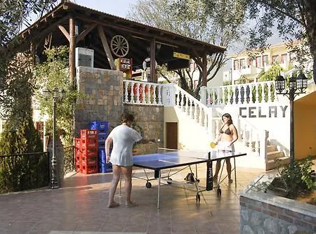 Hotel Celay 3*