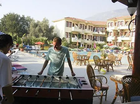 Celay أولدينيس