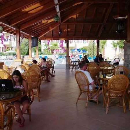 Celay أولدينيس