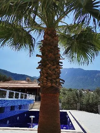 Celay Ξενοδοχείο